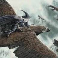 TheFlyingGandalf