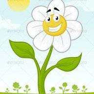 HappyFlower