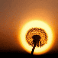 Thatrandomdudeacross