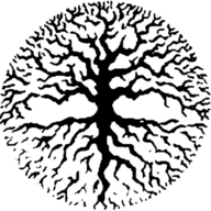 skyw33