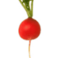 radish