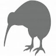 Kiwi-1