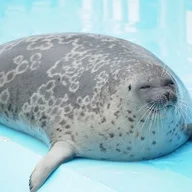 FrankLUO