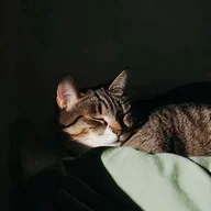 bwtom
