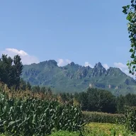 tianchunsong