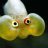 GhostFish