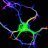Axon