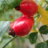 Natuurfenomeen22