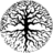 skyw33