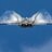 aeroandy7