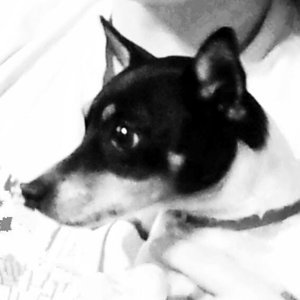 Sugar 12.3.11