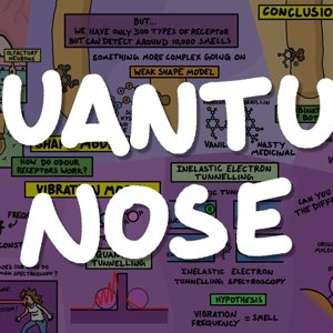 Your Quantum Nose: How Smell Works