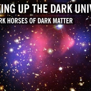 Shaking Up the Dark Universe: The Dark Horses of Dark Matter