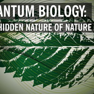 Quantum Biology: The Hidden Nature of Nature - YouTube