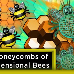 The Honeycombs of 4-Dimensional Bees ft. Joe Hanson | Infinite Series - YouTube