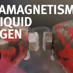 Paramagnetism of Liquid Oxygen