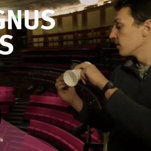 Magnus Cups