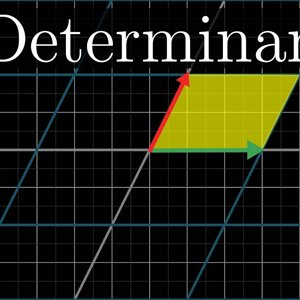The determinant | Essence of linear algebra, chapter 5 - YouTube