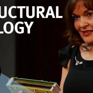 A New Phase for Structural Biology - with Carol Robinson