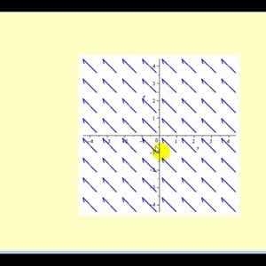 Introduction to Vector Fields