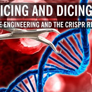 Splicing and Dicing DNA: Genome Engineering and the CRISPR Revolution