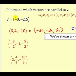 Parallel Vectors