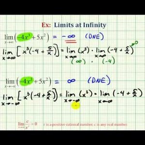 Ex: Limits at Infinity of a Polynomial Function