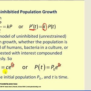 Exponential Growth Models Part 1