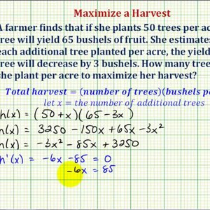 Ex: Optimization - Maximized a Crop Yield (Calculus Methods)