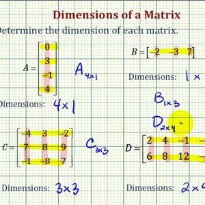 Dimensions of a Matrix