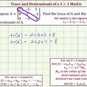 Ex: Find the Trace and Determinant of a 3x3 Matrix Using Eigenvalues