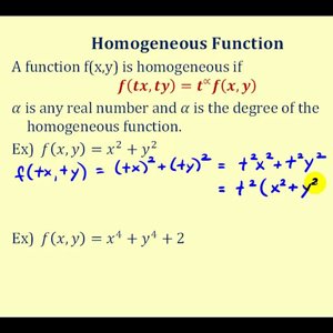 Determine if a Function is a Homogeneous Function