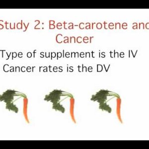 3. Introduction to  Statistics: Variables