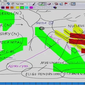 Bio electricity by Prof. Mainak Das (NPTEL):- Lecture 6