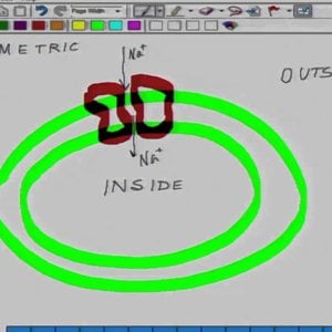 Bio electricity by Prof. Mainak Das (NPTEL):- Lecture 7