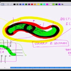 Bio electricity by Prof. Mainak Das (NPTEL):- Lecture 9