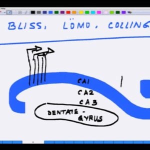 Bio electricity by Prof. Mainak Das (NPTEL):- Lecture 22