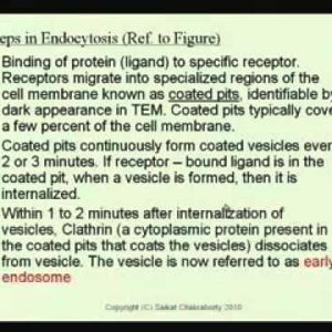 Biochemical Engineering (NPTEL):- Lecture 34: Kinetics of Receptor-Mediated Endocytosis