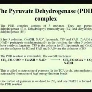 Biochemical Engineering (NPTEL):- Lecture 19: TCA Cycle