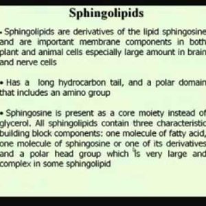 Biochemical Engineering (NPTEL):- Lecture 06: Lipids