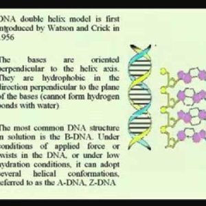 Biochemical Engineering (NPTEL):- Lecture 05: Nucleic Acid