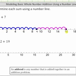 Add Whole Numbers using Number Lines