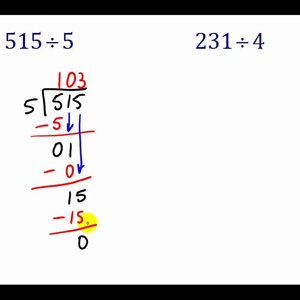 Dividing Whole Numbers