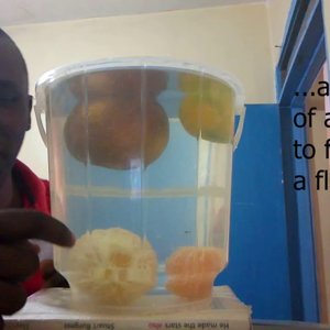 Why do whole oranges float, but peeled oranges sink {Buoyancy}. - YouTube