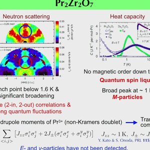 Emergent quasiparticle excitations in quantum spin liquids II