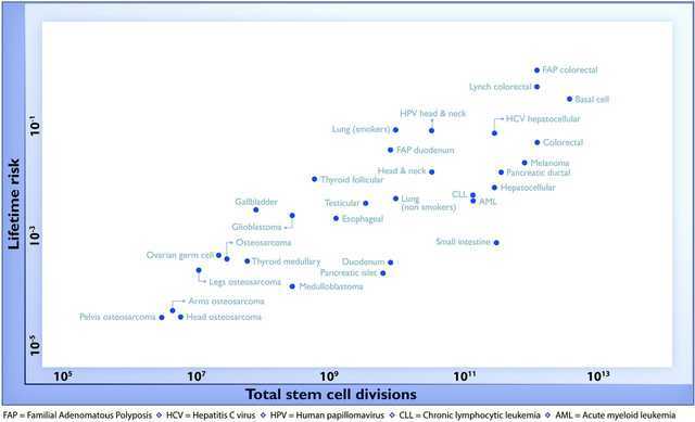 lifetime cancer risk