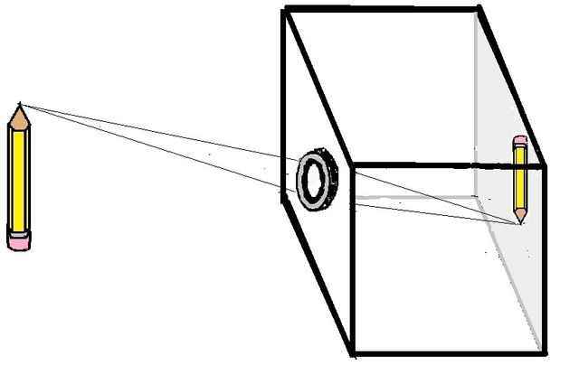 6th class . Describe a pinhole camera and use a sketch to explain how it  forms an image.​ - Brainly.in