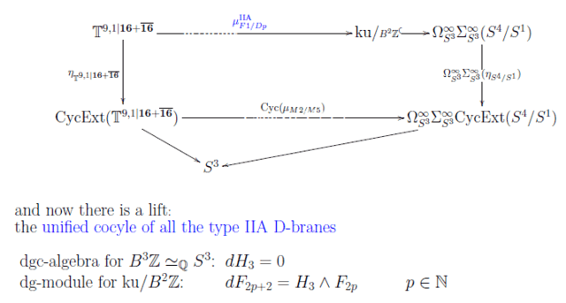 twisted cohomology complex