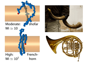 French horn twist