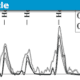 Bohr’s Helium Lines